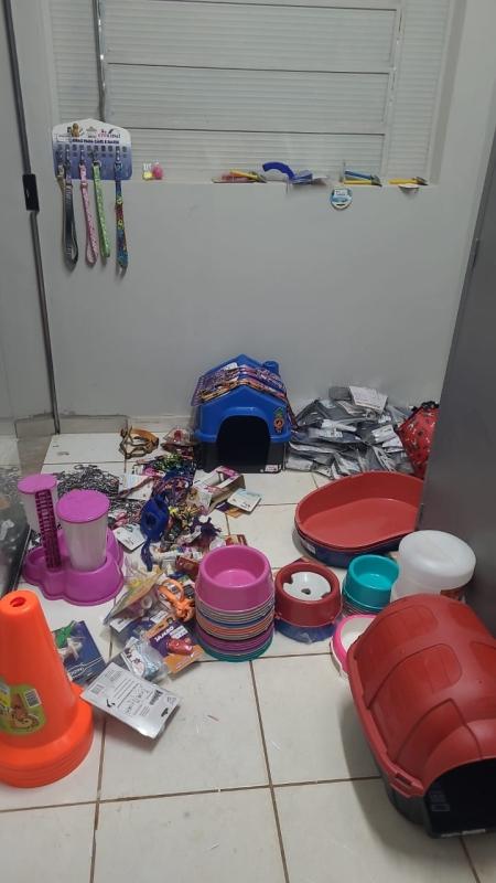 Canil Municipal recebe doação de 163 acessórios e itens para animais abrigados